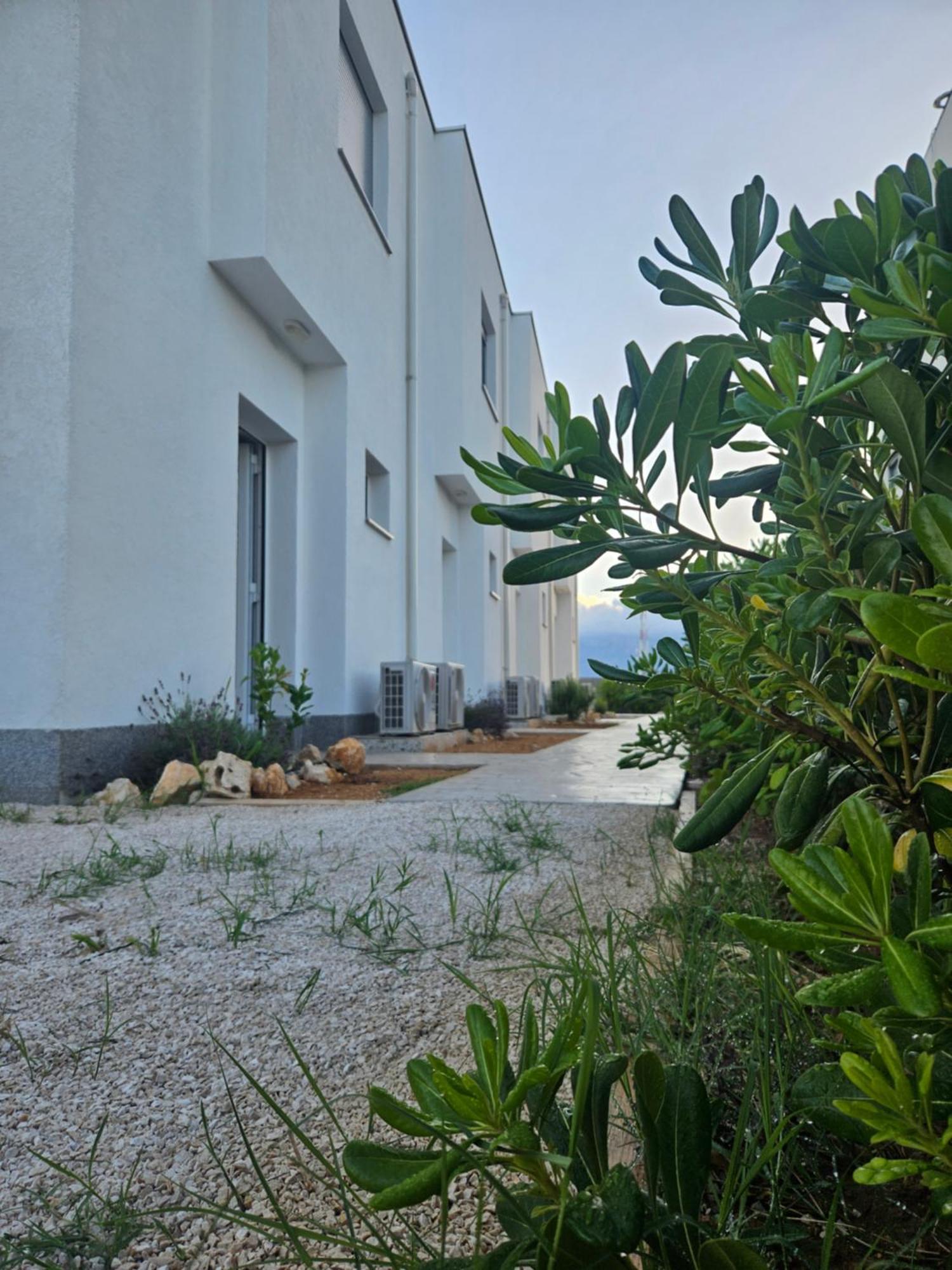 Bura House Villa Povljana Ruang foto